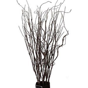 10PCS Lifelike Curly Willow Branches Decorative DriedArtificial Twigs,30.7Inches